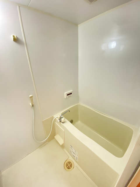 メゾネットイクセーⅡ  浴室