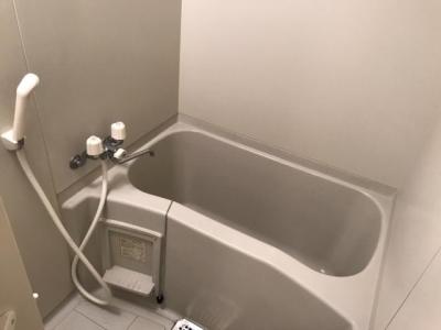 ネオコスモ西沢 1階 浴室