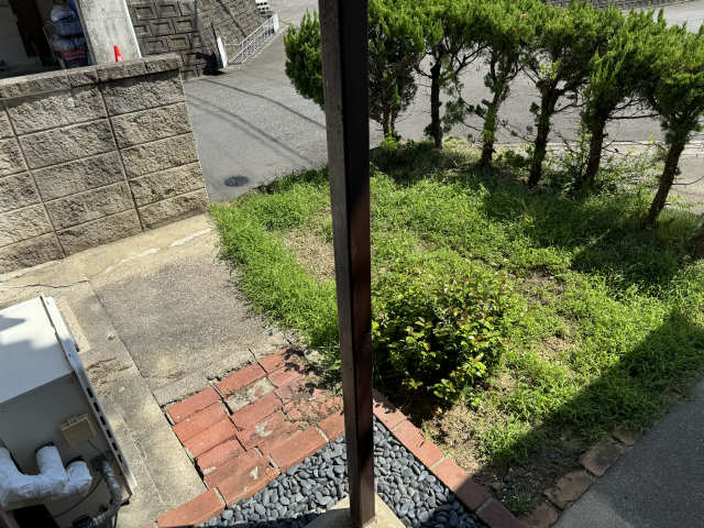 庭