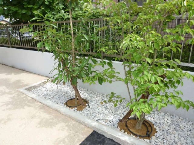共有部分