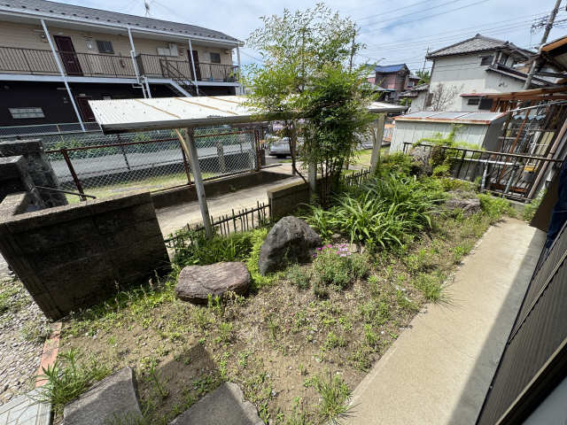 庭