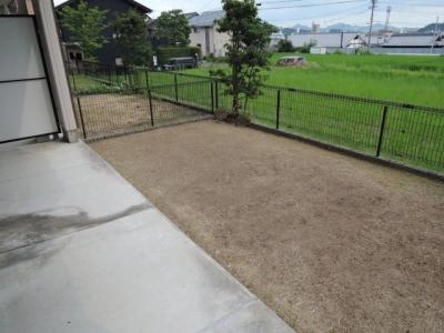 庭