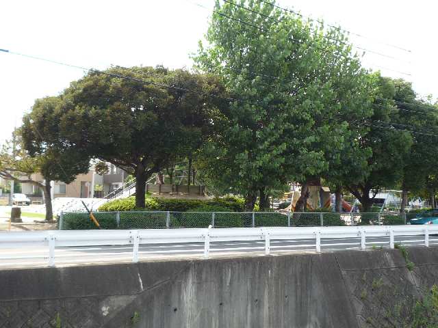 公園