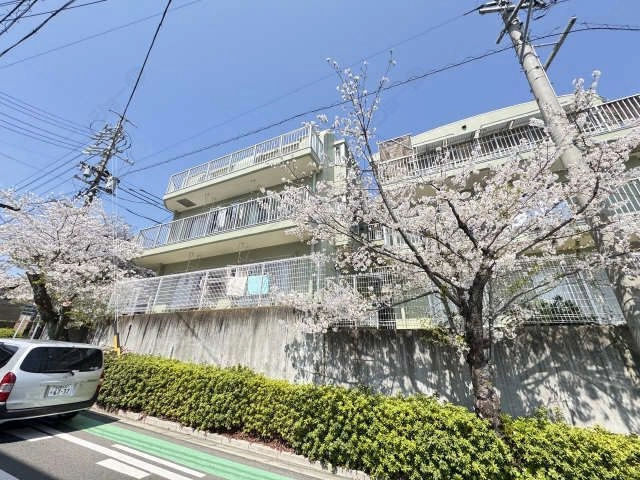 外観(桜シーズン)