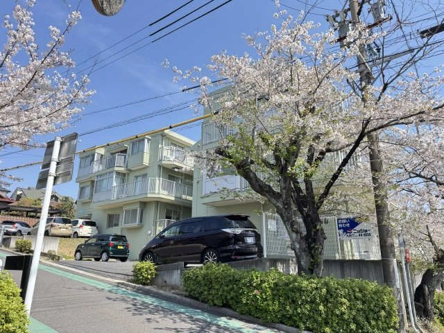 外観(桜シーズン)