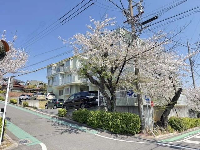 外観(桜シーズン)
