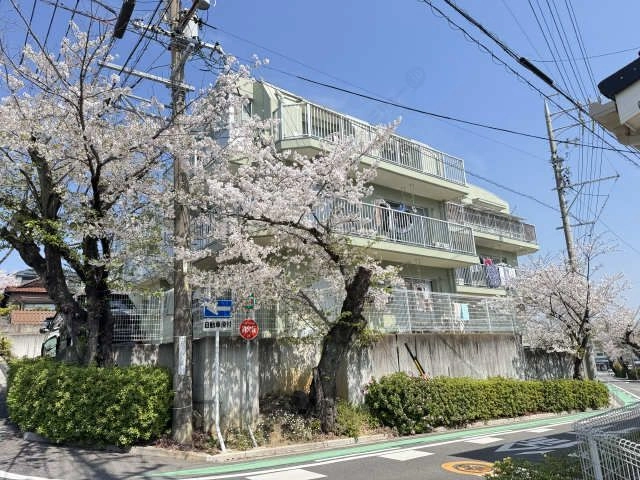 外観(桜シーズン)