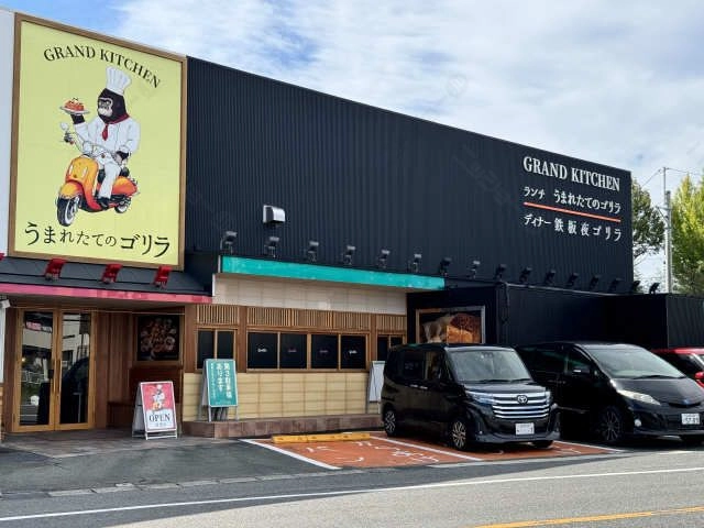 うまれたてのゴリラ