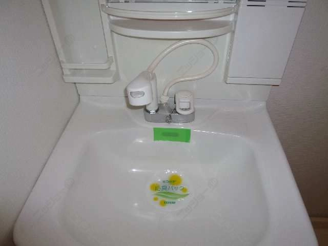 シャンプードレッサー