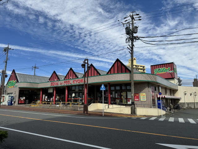 エクボ（フィール）