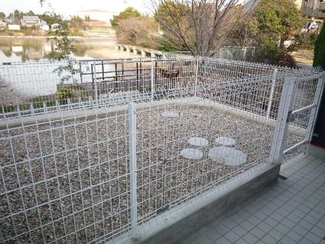 ペット遊び場