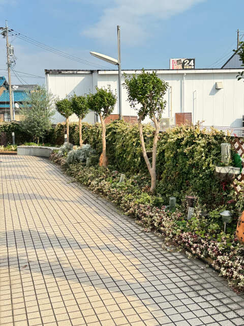 アプローチ