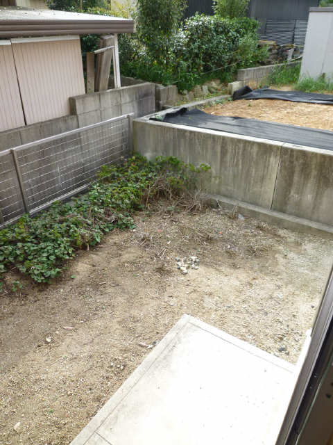 庭