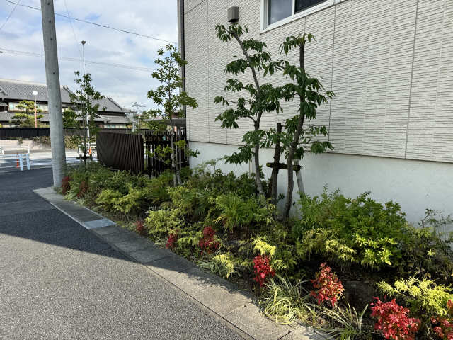 植栽