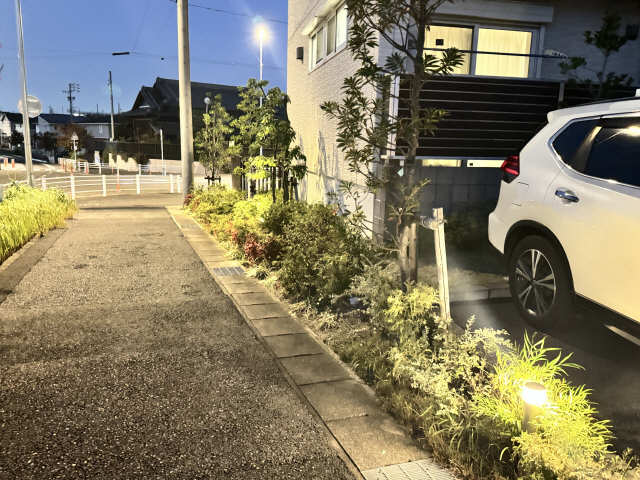 植栽（夜間）