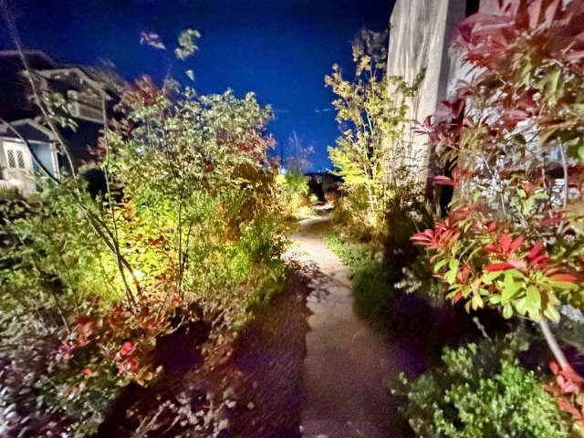 アプローチ（夜間）