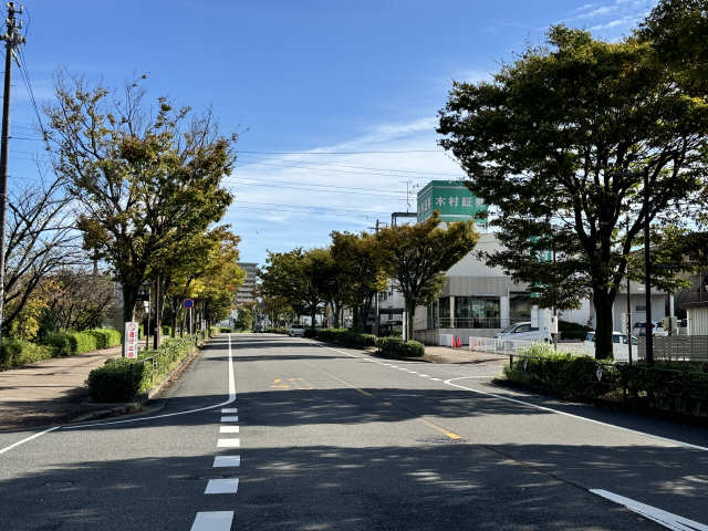 JR大府駅並木道