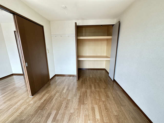 収納（南東洋室）