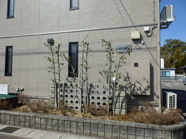 植栽