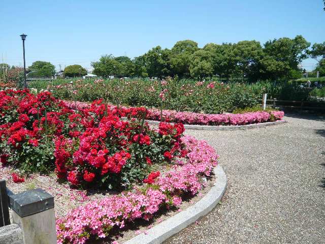 浅井山公園