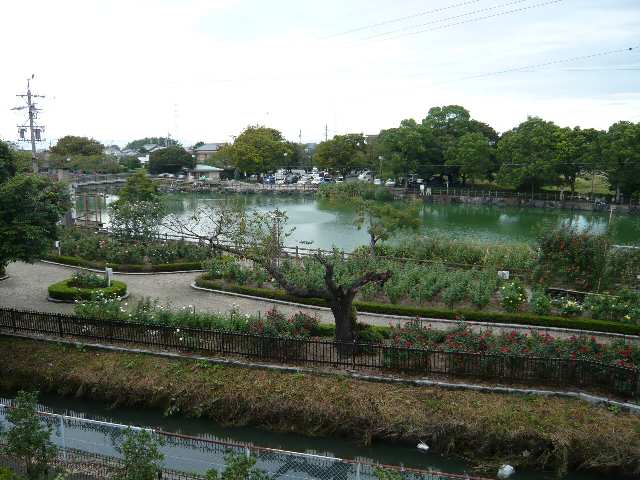 風景