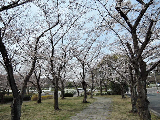 池洞マンション　南棟 4階 公園