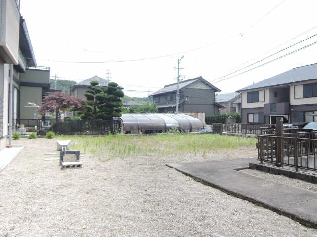 庭
