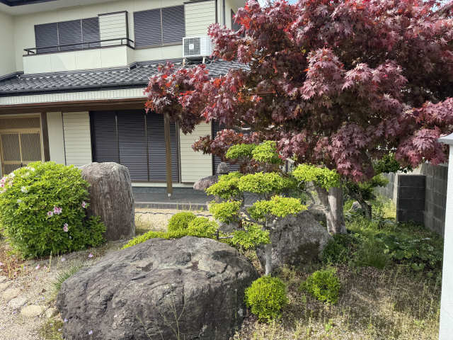 庭