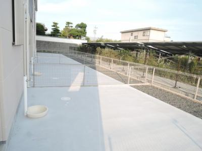庭