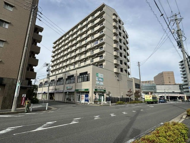 外観(南側)
