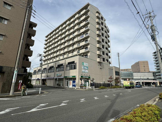 外観（南側）