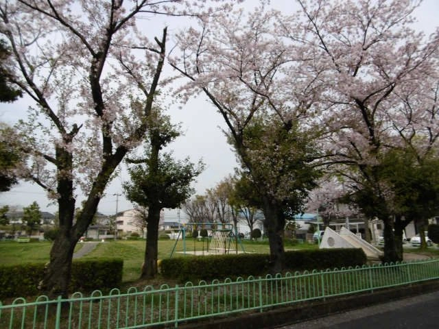 公園