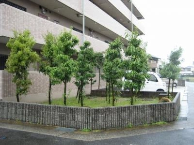 庭