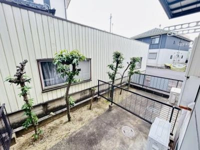 庭