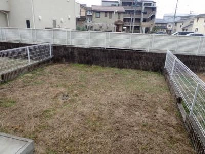 庭