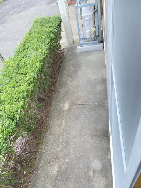 庭