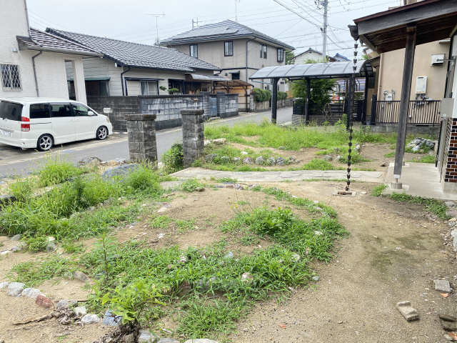 庭