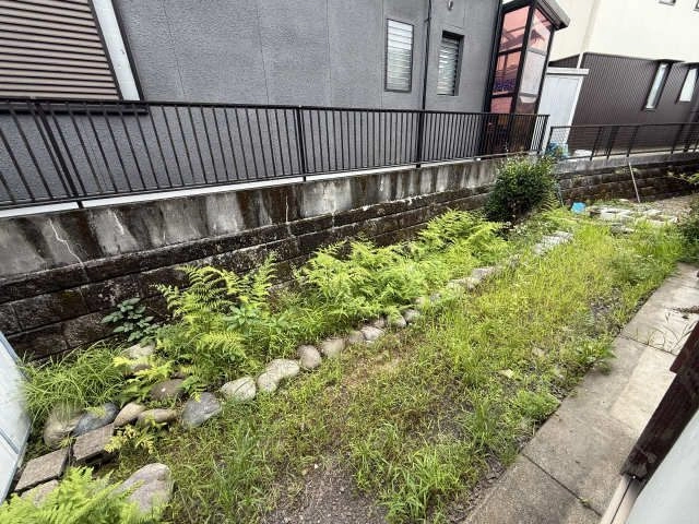 庭
