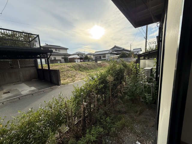 庭