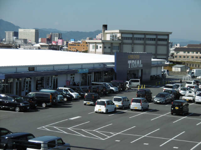 トライアル