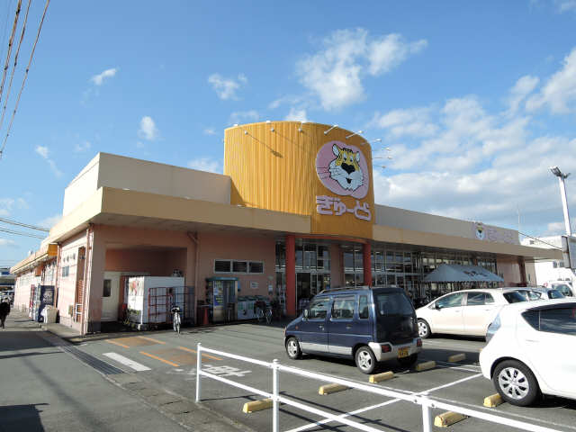 ぎゅーとら