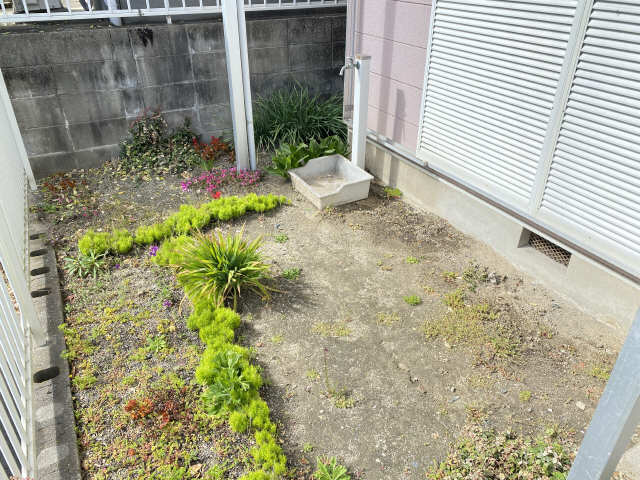 庭