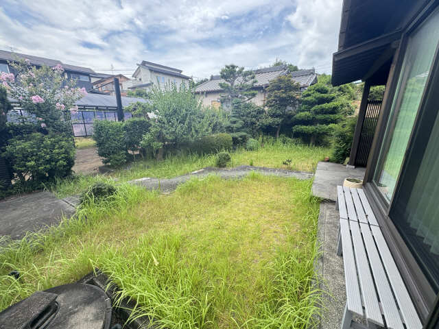 庭