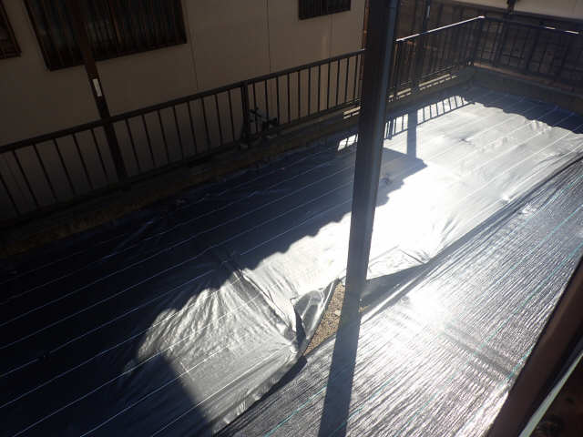 庭