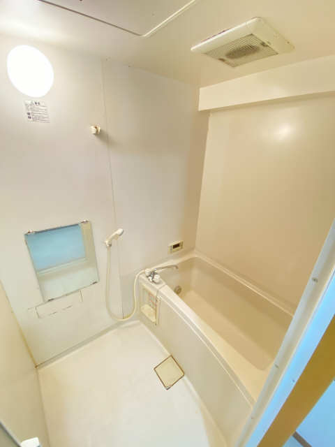 Ｔｗｉｎ　Ｐｒｉｍｅ　姫川 1階 浴室