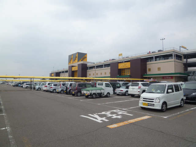 アピタ