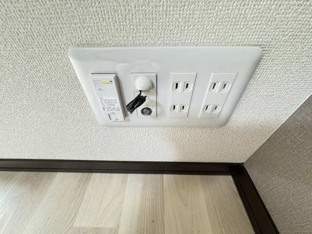 無料インターネット