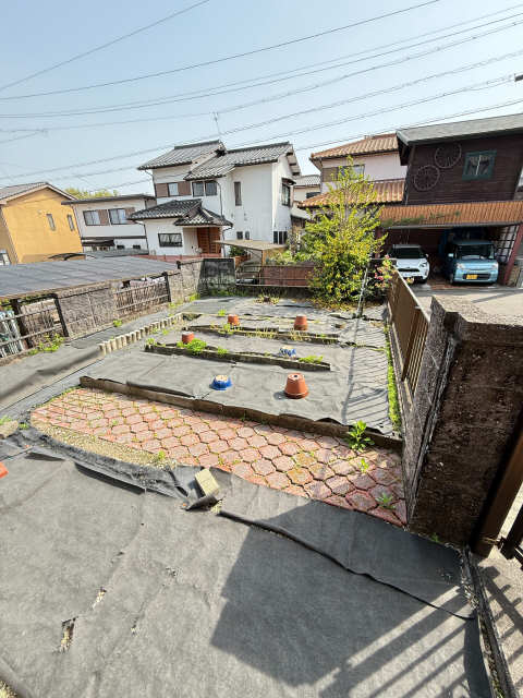 庭