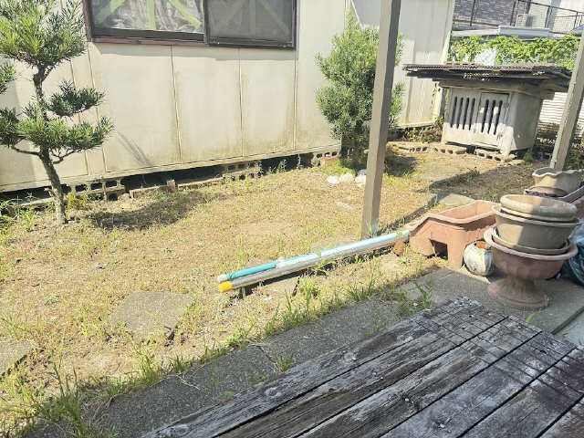 庭