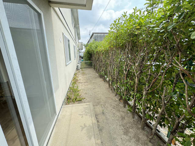 庭